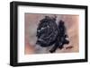 Satellite view of desert area, New Valley Governorate, Egypt,-null-Framed Photographic Print