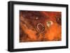 Satellite view of desert area, Tamanrasset, Algeria-null-Framed Photographic Print