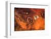 Satellite view of desert area, Tamanrasset, Algeria-null-Framed Photographic Print