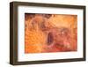 Satellite view of desert area, Tamanrasset, Algeria-null-Framed Photographic Print