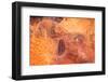 Satellite view of desert area, Tamanrasset, Algeria-null-Framed Photographic Print