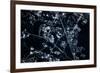 Satellite view of Disneyworld, Orlando, Florida, USA-null-Framed Photographic Print