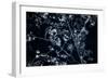 Satellite view of Disneyworld, Orlando, Florida, USA-null-Framed Photographic Print