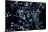 Satellite view of Disneyworld, Orlando, Florida, USA-null-Mounted Photographic Print