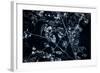 Satellite view of Disneyworld, Orlando, Florida, USA-null-Framed Photographic Print