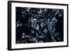 Satellite view of Disneyworld, Orlando, Florida, USA-null-Framed Photographic Print