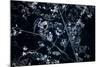 Satellite view of Disneyworld, Orlando, Florida, USA-null-Mounted Photographic Print