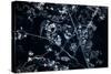 Satellite view of Disneyworld, Orlando, Florida, USA-null-Stretched Canvas