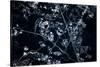 Satellite view of Disneyworld, Orlando, Florida, USA-null-Stretched Canvas