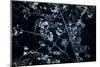 Satellite view of Disneyworld, Orlando, Florida, USA-null-Mounted Premium Photographic Print