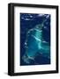 Satellite view of Eleuthera Island and Atlantic Ocean, Bahamas-null-Framed Photographic Print