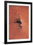 Satellite view of Ennedi Desert, Chad-null-Framed Photographic Print