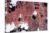 Satellite view of fields, Chihuahua, Mexico-null-Stretched Canvas