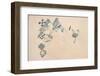 Satellite view of fields in North Darfur, Sudan-null-Framed Photographic Print