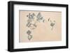 Satellite view of fields in North Darfur, Sudan-null-Framed Photographic Print