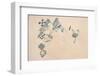 Satellite view of fields in North Darfur, Sudan-null-Framed Photographic Print