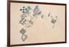 Satellite view of fields in North Darfur, Sudan-null-Framed Photographic Print