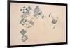 Satellite view of fields in North Darfur, Sudan-null-Framed Photographic Print