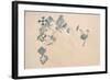 Satellite view of fields in North Darfur, Sudan-null-Framed Photographic Print
