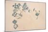 Satellite view of fields in North Darfur, Sudan-null-Mounted Photographic Print