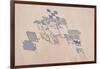 Satellite view of fields in Shamal Darfur, Sudan-null-Framed Photographic Print