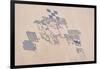 Satellite view of fields in Shamal Darfur, Sudan-null-Framed Photographic Print