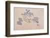 Satellite view of fields in Shamal Darfur, Sudan-null-Framed Photographic Print