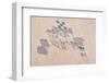 Satellite view of fields in Shamal Darfur, Sudan-null-Framed Photographic Print