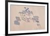 Satellite view of fields in Shamal Darfur, Sudan-null-Framed Photographic Print