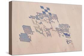 Satellite view of fields in Shamal Darfur, Sudan-null-Stretched Canvas