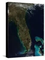 Satellite View of Florida-null-Stretched Canvas