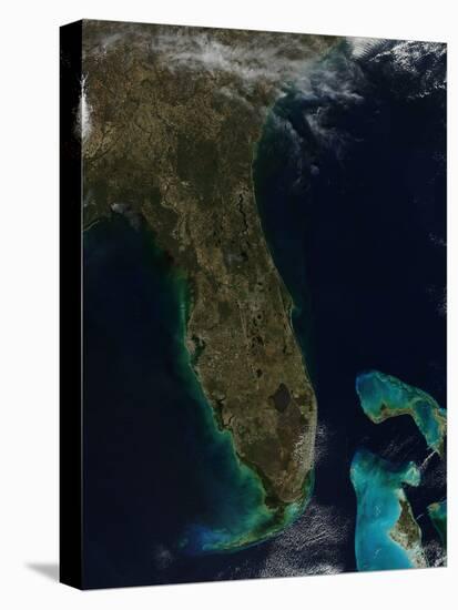 Satellite View of Florida-null-Stretched Canvas