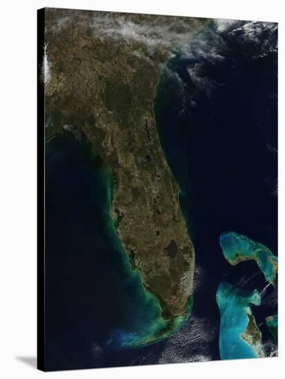 Satellite View of Florida-null-Stretched Canvas