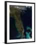 Satellite View of Florida-null-Framed Photographic Print