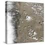 Satellite View of Fort Collins, Colorado-null-Stretched Canvas