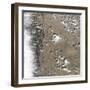 Satellite View of Fort Collins, Colorado-null-Framed Photographic Print