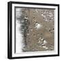 Satellite View of Fort Collins, Colorado-null-Framed Photographic Print