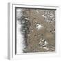 Satellite View of Fort Collins, Colorado-null-Framed Photographic Print