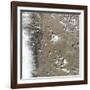 Satellite View of Fort Collins, Colorado-null-Framed Photographic Print