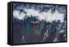 Satellite view of Glaciers of Patagonia, Natales Glaciers of Patagonia, Natales, Magallanes and...-null-Framed Stretched Canvas