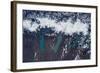 Satellite view of Glaciers of Patagonia, Natales Glaciers of Patagonia, Natales, Magallanes and...-null-Framed Photographic Print
