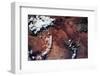 Satellite view of Grand Canyon, Arizona, USA-null-Framed Photographic Print