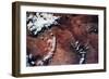 Satellite view of Grand Canyon, Arizona, USA-null-Framed Photographic Print