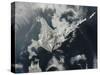 Satellite View of Hokkaido Island, Japan-null-Stretched Canvas