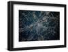 Satellite view of Houston, Texas, USA-null-Framed Photographic Print