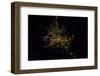 Satellite view of Houston, Texas, USA-null-Framed Photographic Print