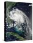 Satellite View of Hurricane Arthur-null-Stretched Canvas