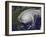 Satellite View of Hurricane Irene-Stocktrek Images-Framed Photographic Print