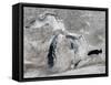 Satellite View of Ice on the Great Lakes, United States-null-Framed Stretched Canvas