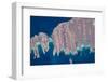 Satellite view of Isla del Espiritu and Isla Partida in Gulf of California, Baja California Sur...-null-Framed Photographic Print